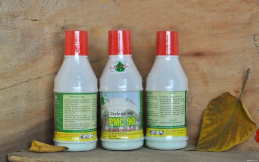 pmc-90-dietmoi247-510x319