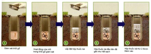 quy-trinh-kiem-soat-Tram-bay-moi-duoi-mat-dat-Xterm-ig-e1676011733228-600x216