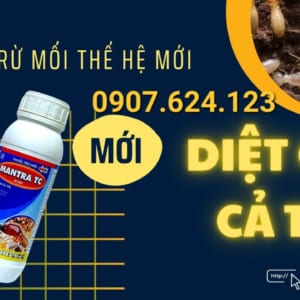 Thuốc Diệt Mối Matra - ẤN ĐỘ